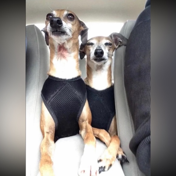 Meet your Posher, Jim - Picture 1 of 1